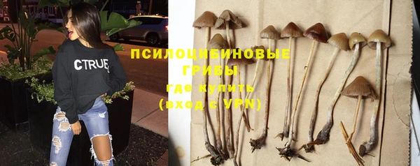 прущая мука Армянск